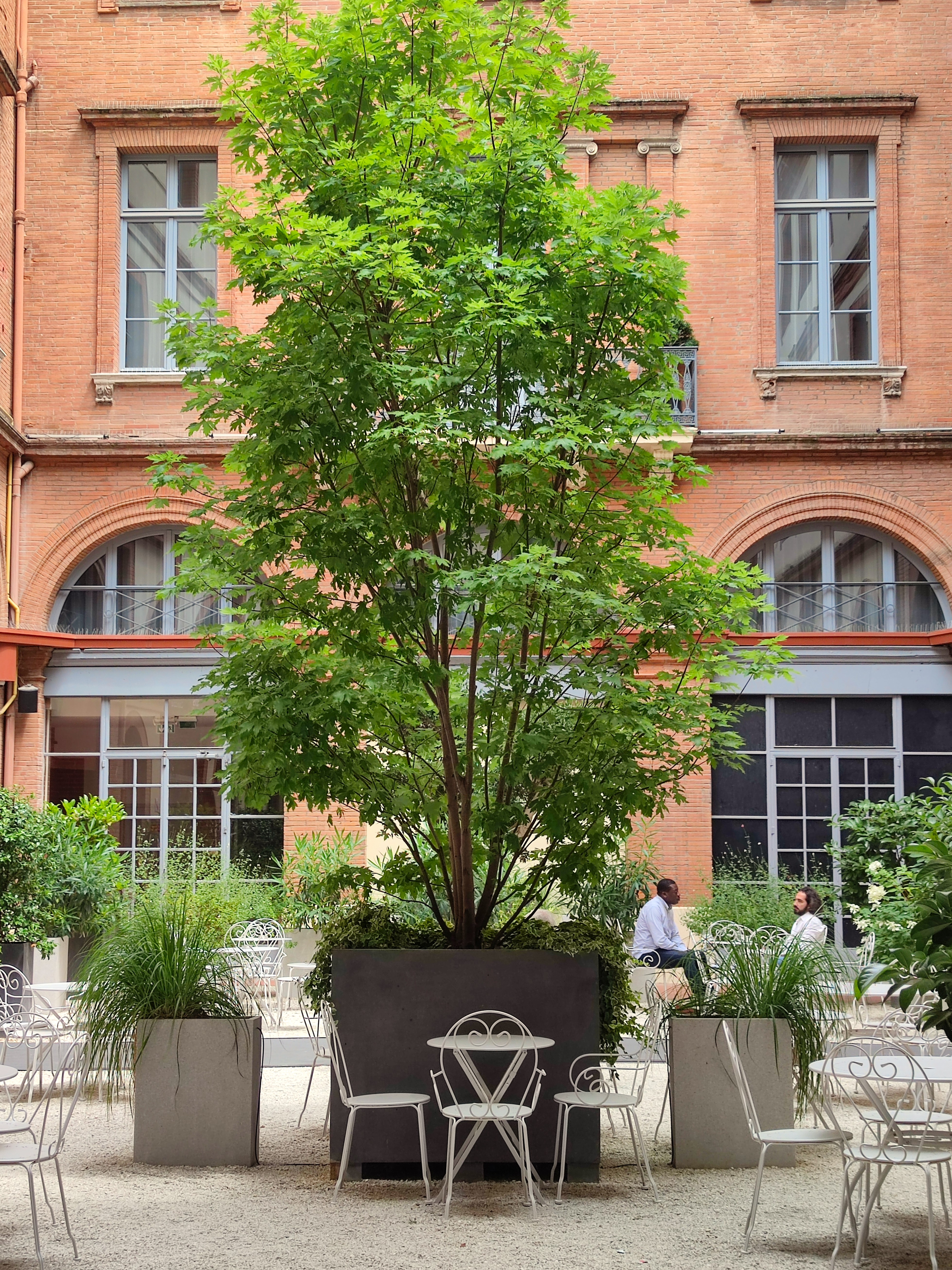 Aménagement cour intérieure centre-ville Toulouse — Urbanessence