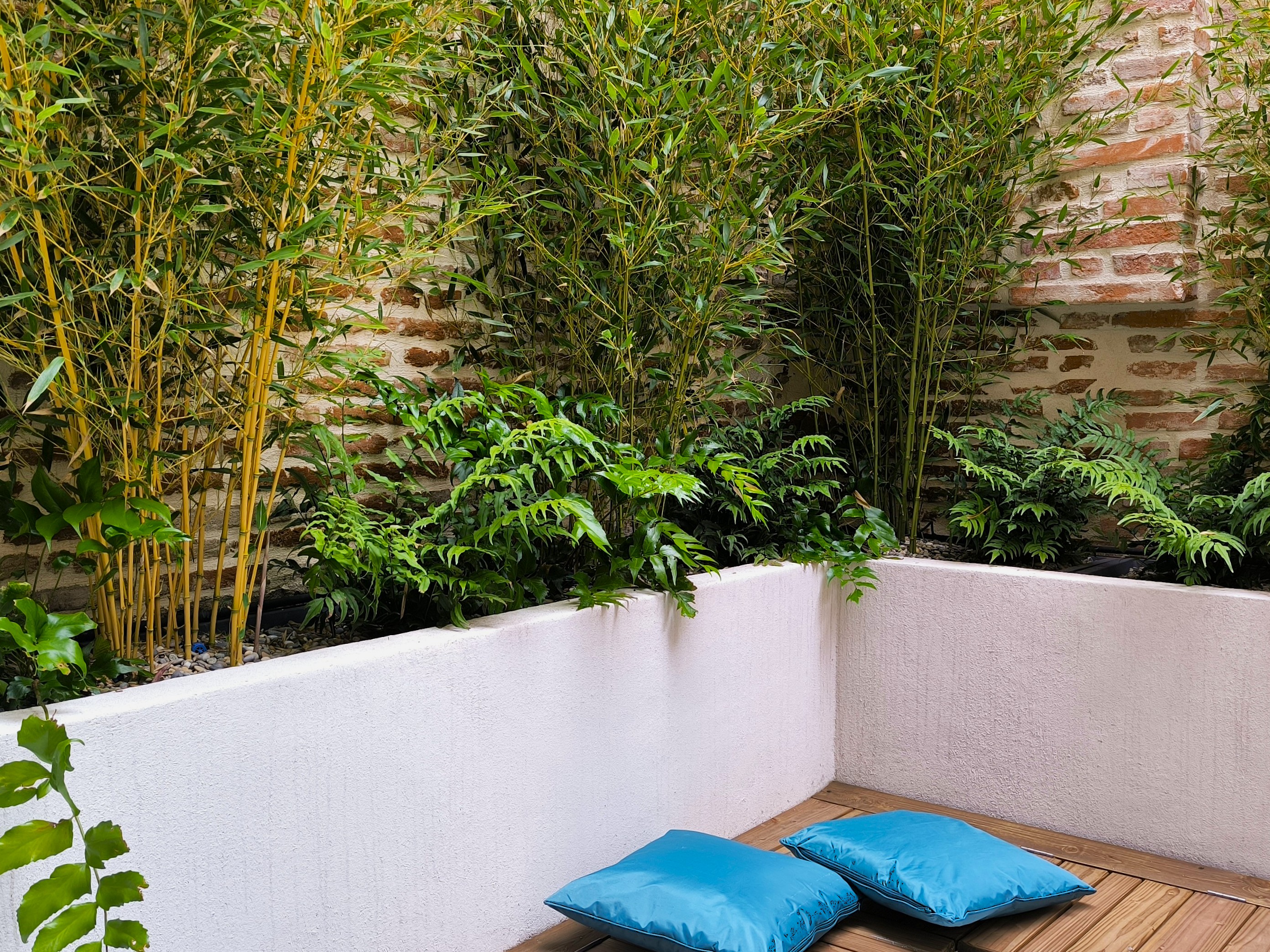Jardin bambous terrasse urbain Toulouse — Urbanessence