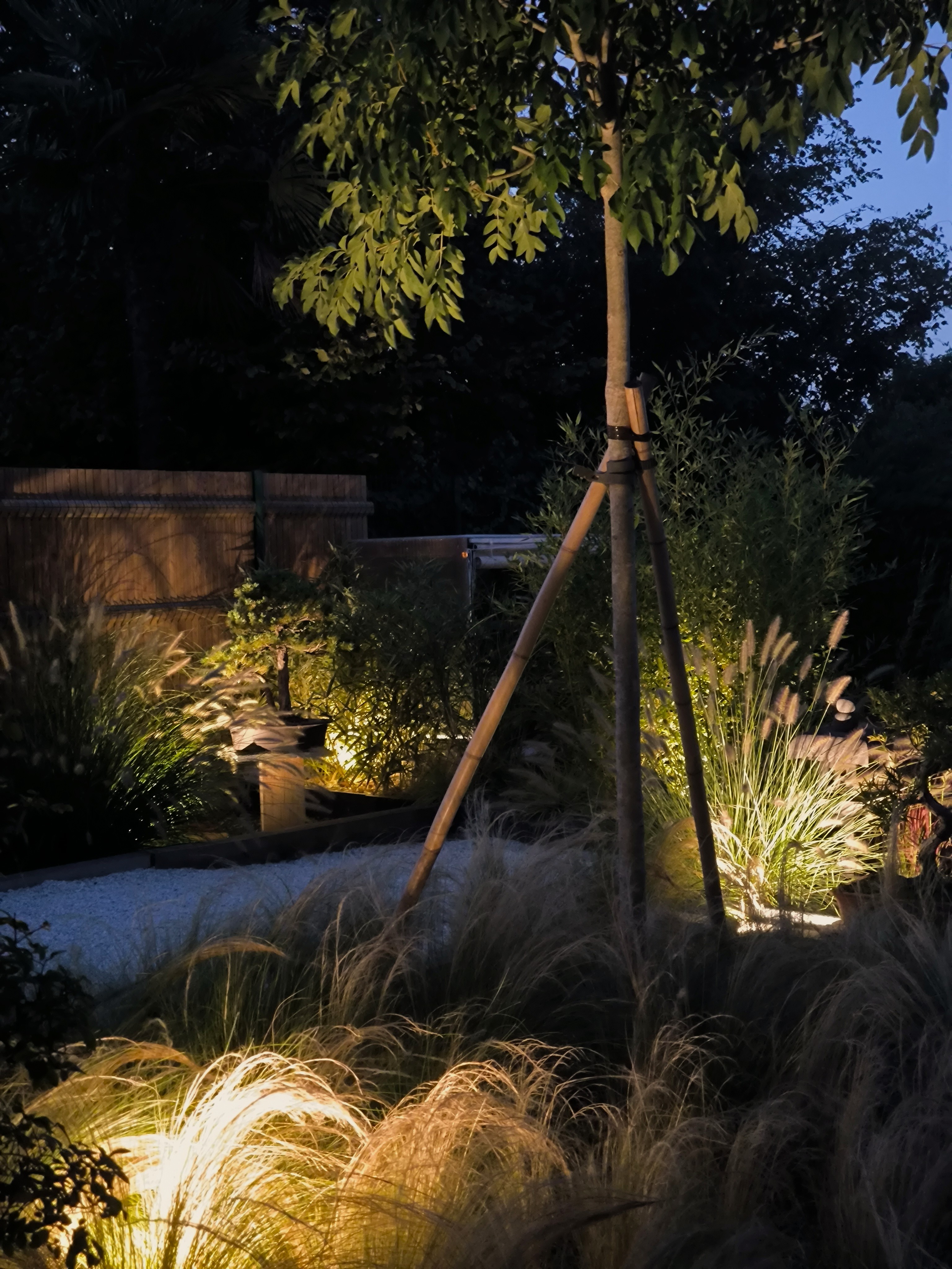 Jardin éclairage nocturne graminées Toulouse — Urbanessence